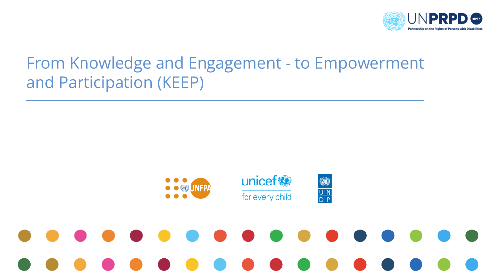 Activities within the joint UNFPA, UNICEF and UNDP project for people with disabilities